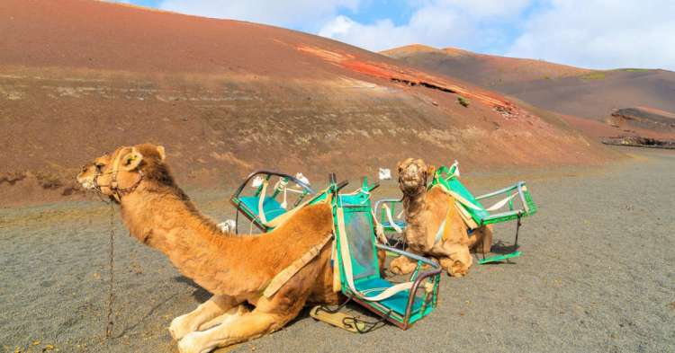 Lanzarote