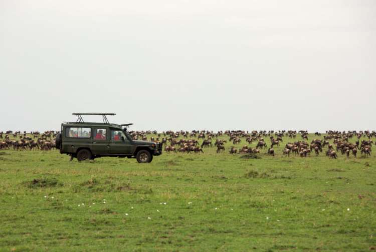 Masai Mara Kenya