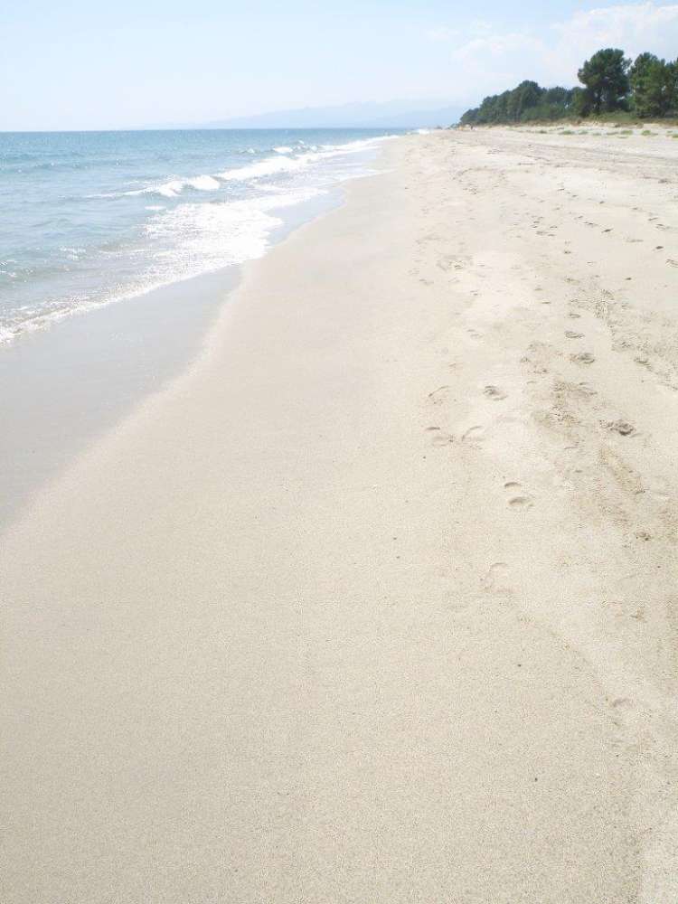 Corsica5