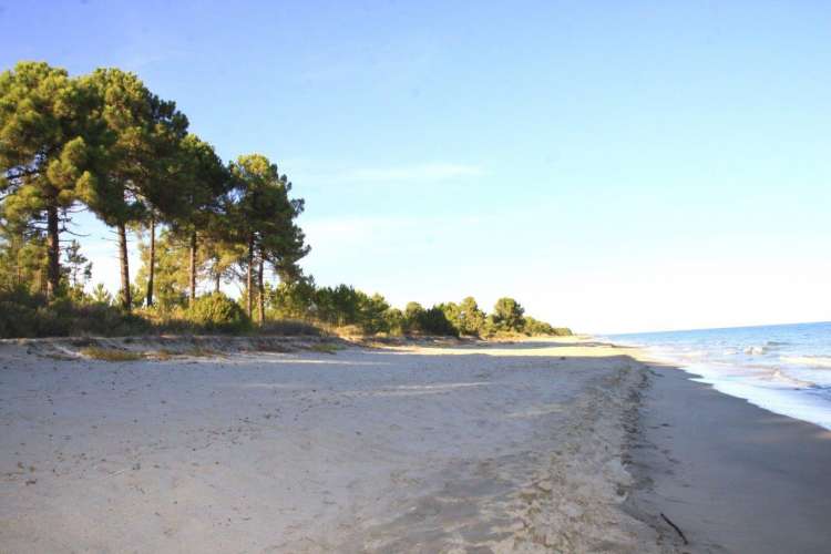 Corsica8