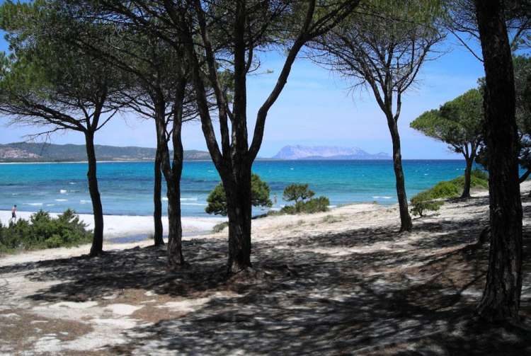 Residence La Corte di Gallura