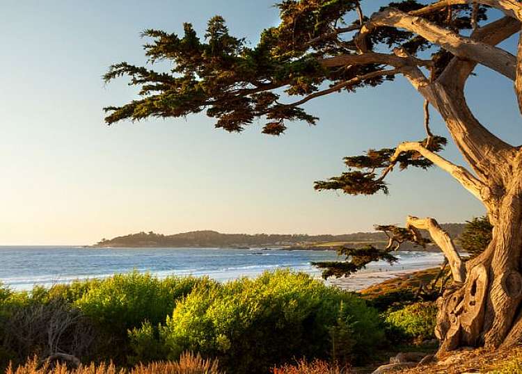 Viaggio in California con sconto fino al 52%