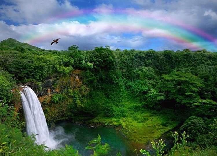 Soggiorno alle Hawaii nel The Villas at Poipu Kai