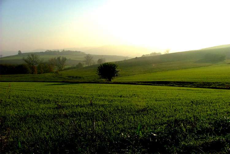 Monferrato degli Infernot
