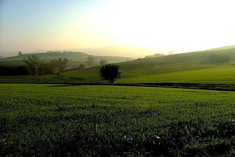 Monferrato degli Infernot