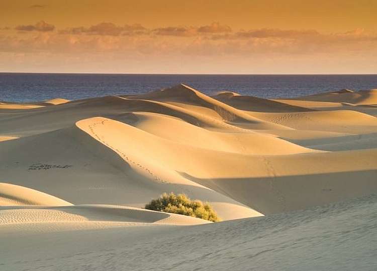 Bohemia Suites & Spa di Gran Canaria con un risparmio del 36%