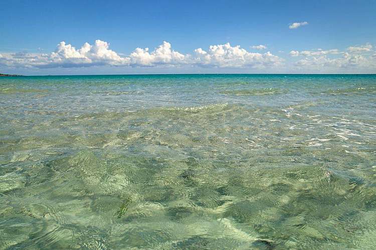 Bungalow Club Village di San Teodoro: prenota prima la tua vacanza in Sardegna