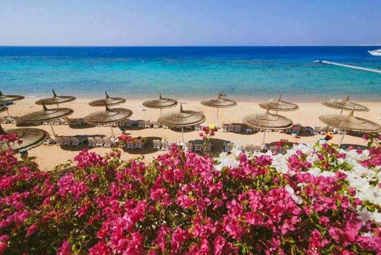 Veraclub Reef Oasis - Sharm El Sheikh