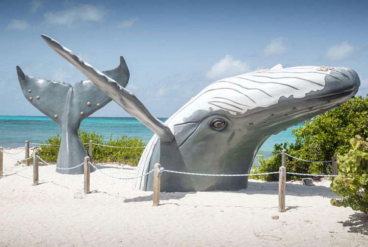 Crociera Caraibi Occidentali