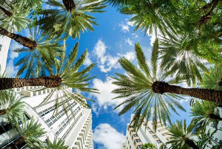 Crociera Caraibi Occidentali