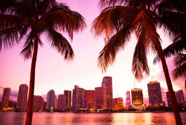 Miami Skyline 
