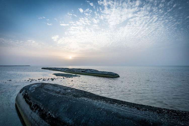 Sir Bani Yas Island