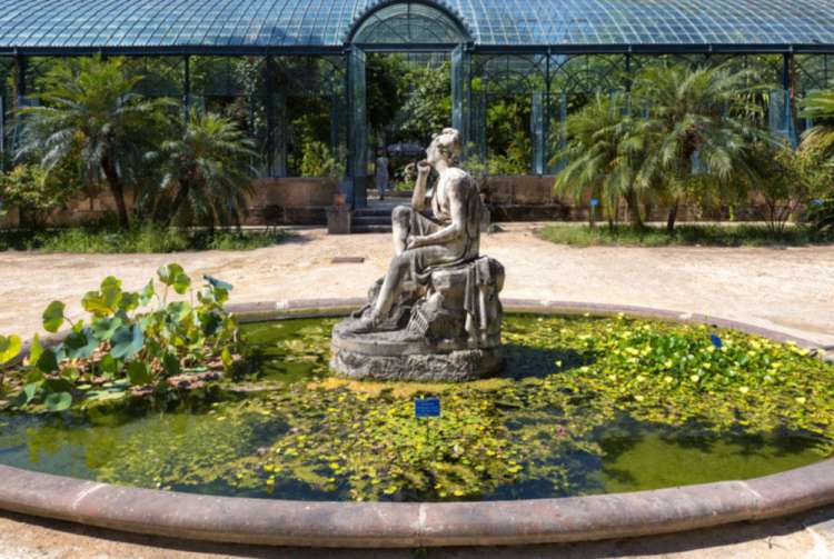 Particolare del Giardino Botanico 