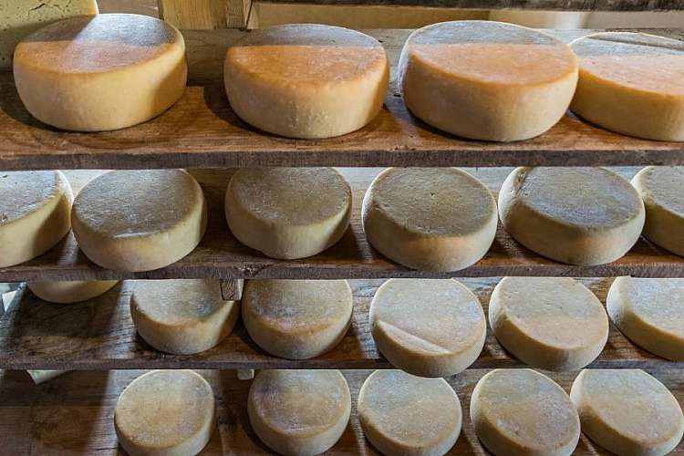 Il formaggio di malga