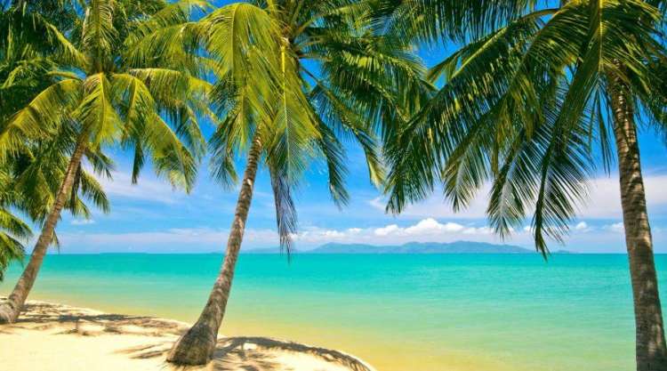 Koh Samui