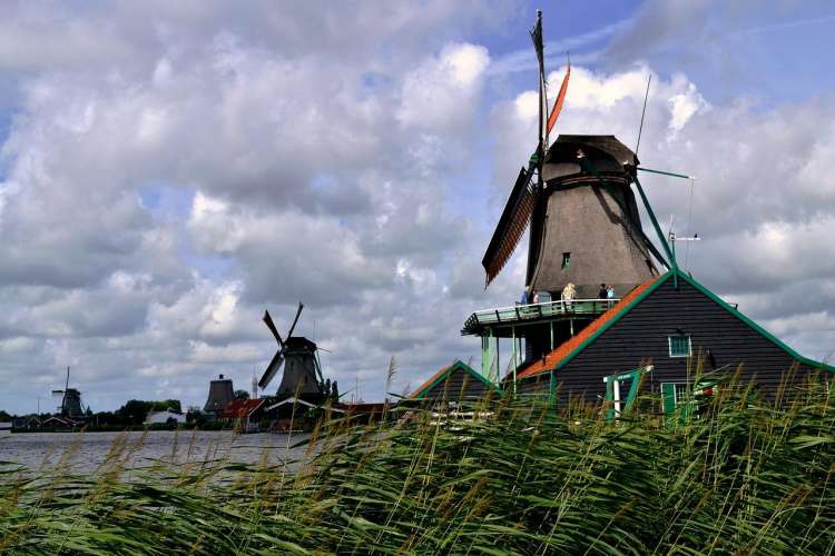 Mulini a vento a Zaanse Schans