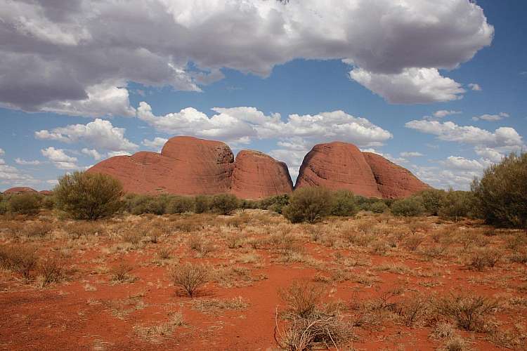 Monti Olgas (Kata Tjuta)