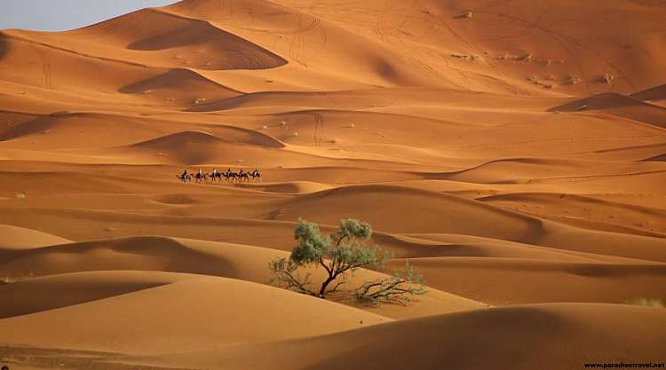 MAROCCO - Marrakech , Tour Il Grande Sud, Kasbah e Deserto