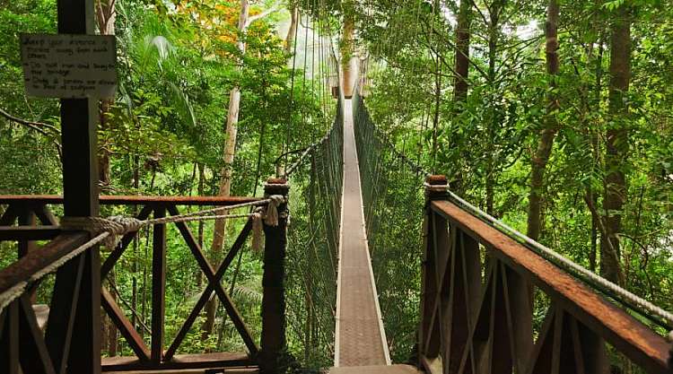MALESIA - Lumpur, Capitale, Jungla e Mare-metropoli e tradizioni.