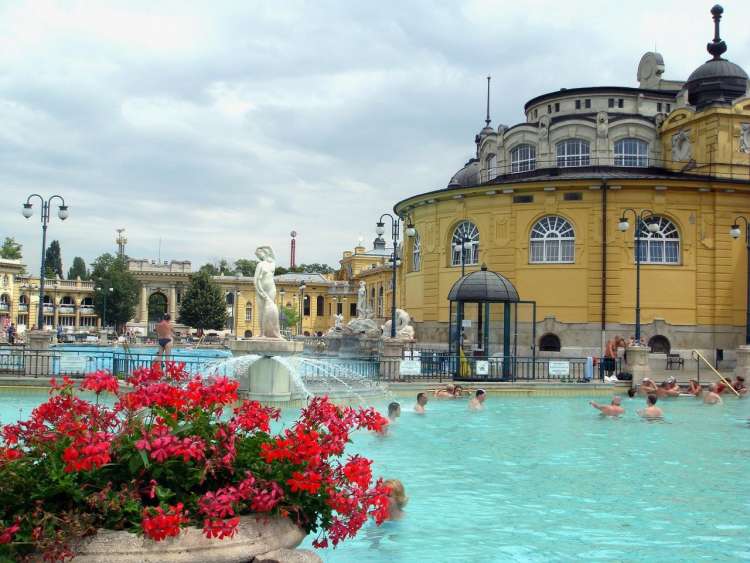 Le terme