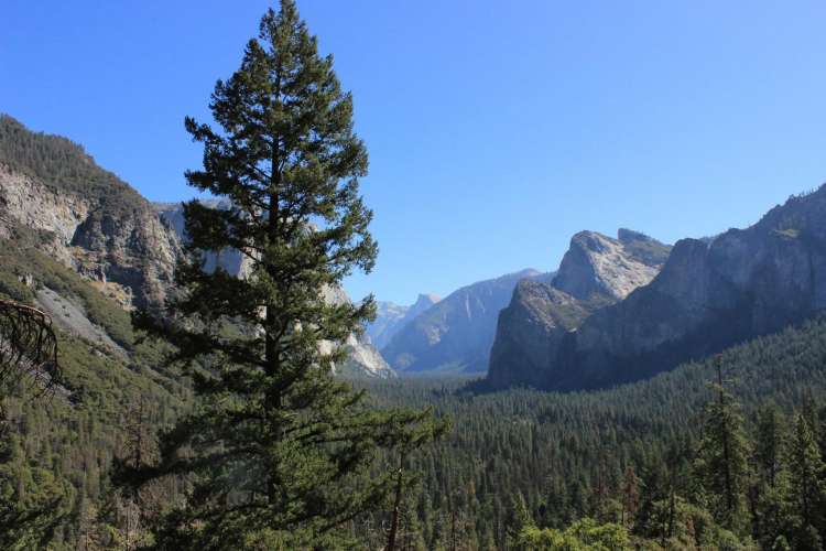 Yosemite Valley