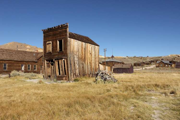 Bodie