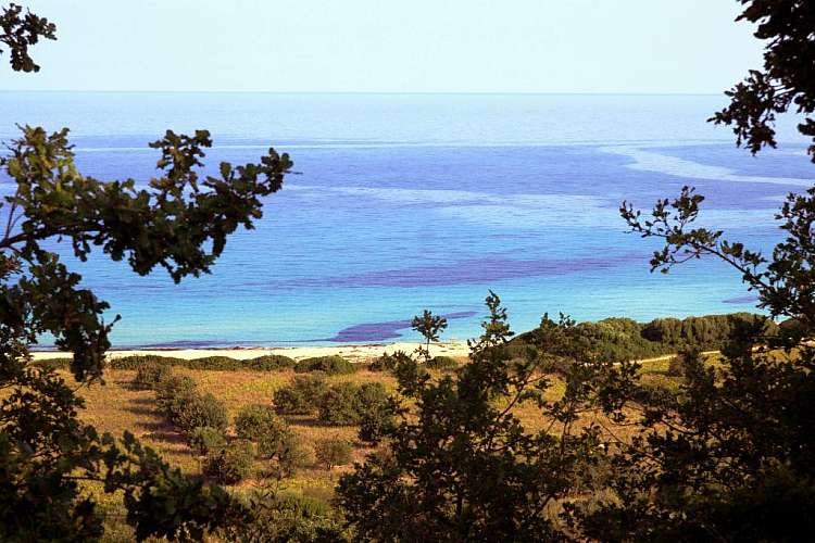 Corsica: pacchetti appartamento 2 pax + nave inclusa da € 450!