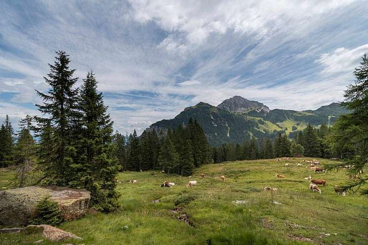 Estate in Austria - Carinzia: fino a 4 Bambini gratis fino a 12 anni