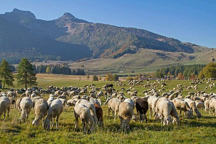 Estate in Trentino: All Inclusive - Bambini gratis fino a 11 anni