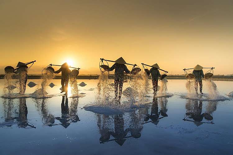 pesca vietnamita