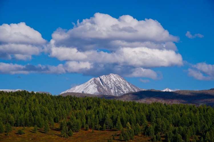 Paesaggio della Siberia