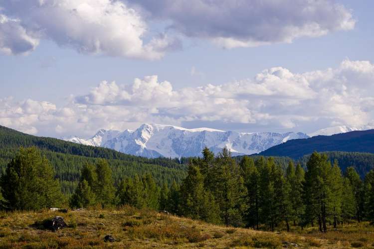 Paesaggio della Siberia