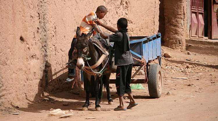 Tour Privato Sud del Marocco da Marrakech al Deserto in 4x4 da 545€