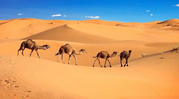 Tour Privato Sud del Marocco da Marrakech al Deserto in 4x4 da 545€