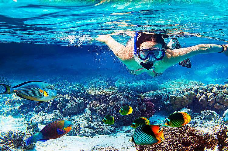 L'isola incontaminata di Fernando de Noronha