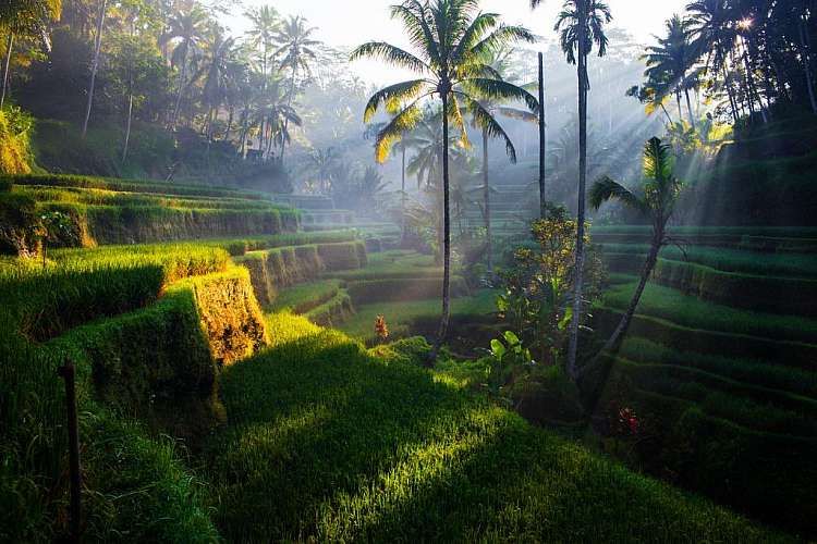 Tour in Indonesia in estate: 12 notti + voli A/R ad agosto 2019!