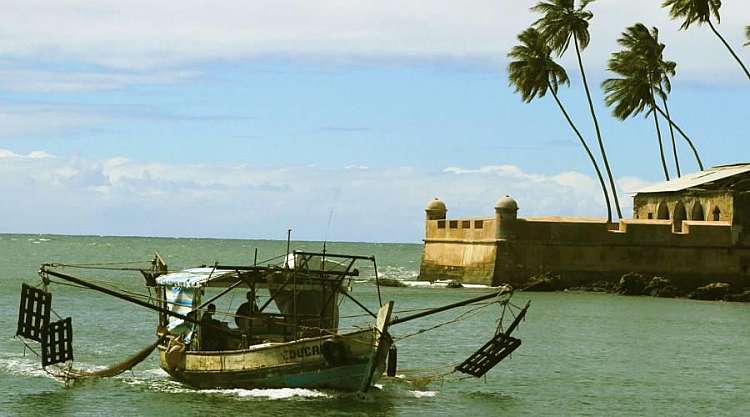 Tour Salvador de Bahia + Mare a Morro