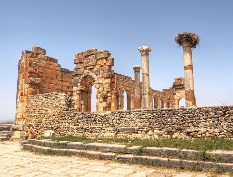 VOLUBILIS