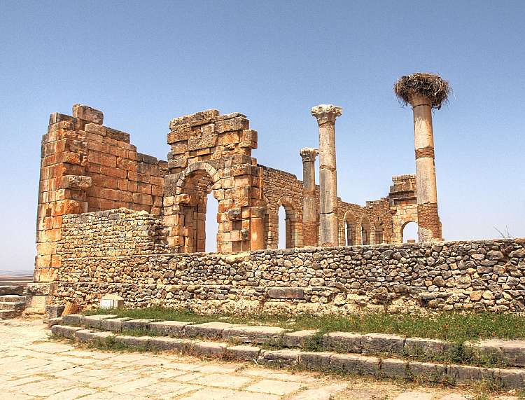 VOLUBILIS