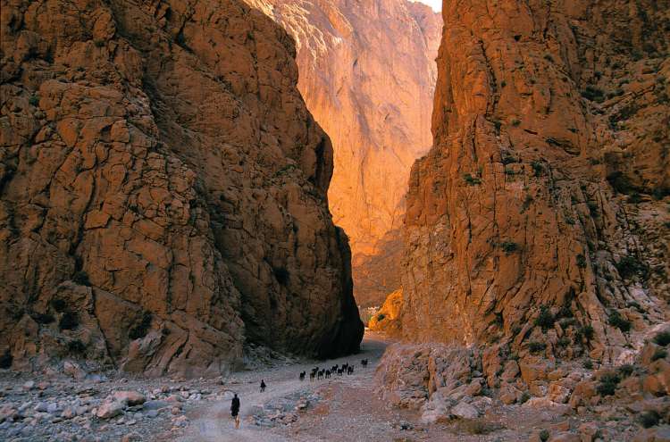 Gole Todra