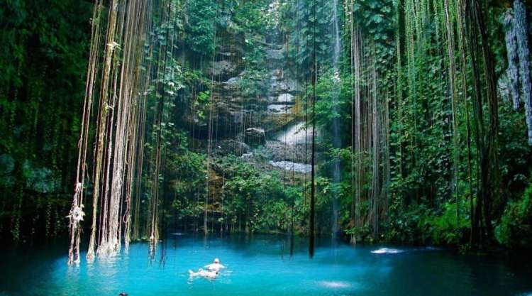 Snorkeling in Cenote