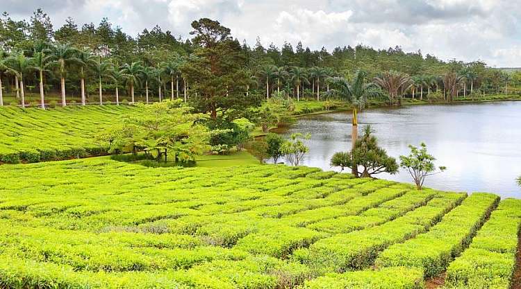 Scopri Mauritius in liberta' con auto a noleggio inclusa