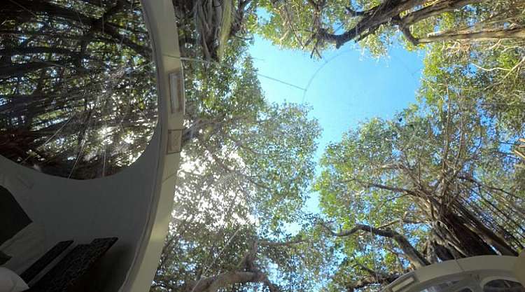 Soggiorna in Bubble Lodge sotto il cielo stellato di Mauritius