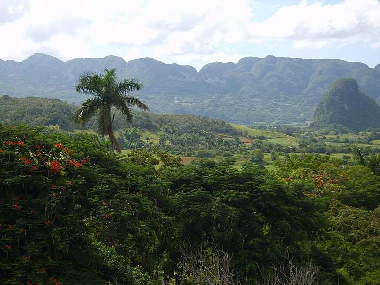 Vacanza a Cuba: 10 giorni da sogno tra natura e cultura