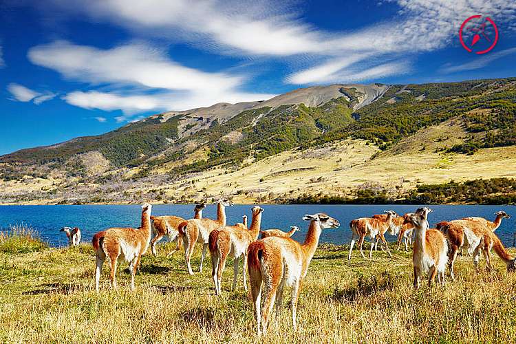 Torres del Paine