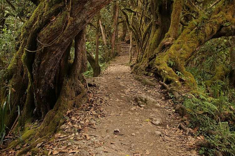 Sulla vetta del Kilimangiaro: trekking in Tanzania da 2.285 euro