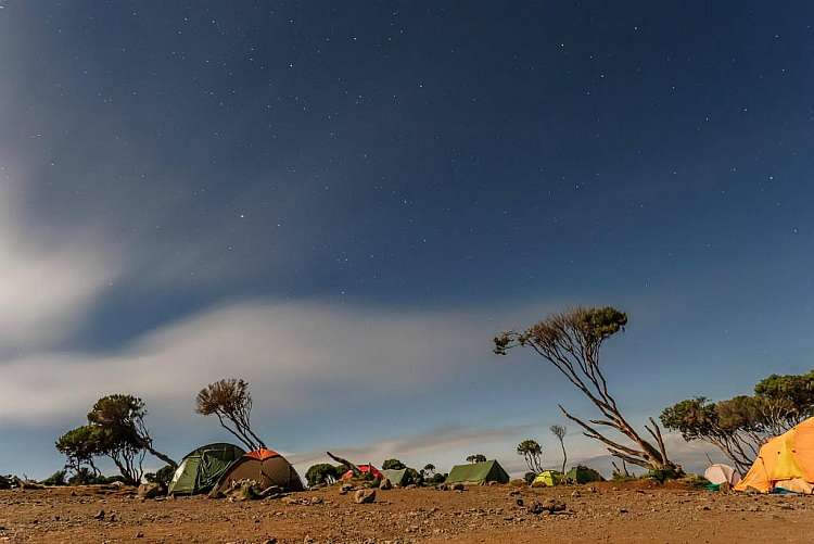 Sulla vetta del Kilimangiaro: trekking in Tanzania da 2.285 euro