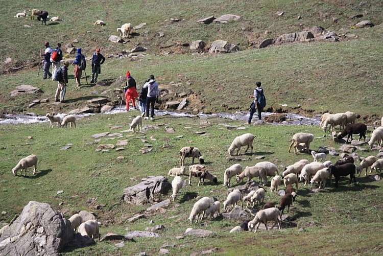 Esperienza sull'Himalaya: 13 giorni di yoga e trekking da 2.560 euro