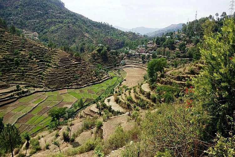 Esperienza sull'Himalaya: 13 giorni di yoga e trekking da 2.560 euro