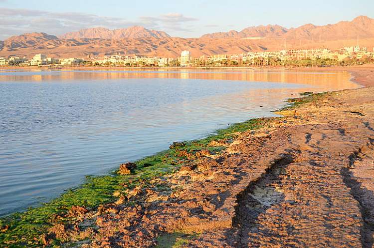 Dicembre in Giordania: volo + hotel da sogno a partire da 156 euro